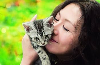 Amazon.co.jp: グーグーだって猫である Blu-ray スペシャル